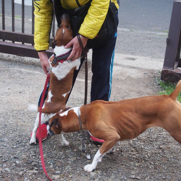 Fd2ca8c3 a628 41c6 93e4 c44834170946