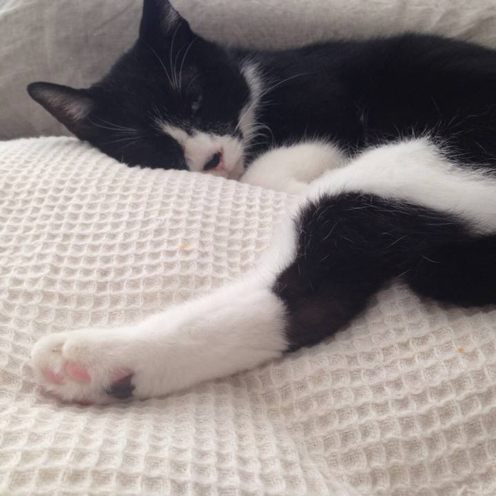 Fd2cb7e3 6b1c 4f8d aaeb d99348cec0dc