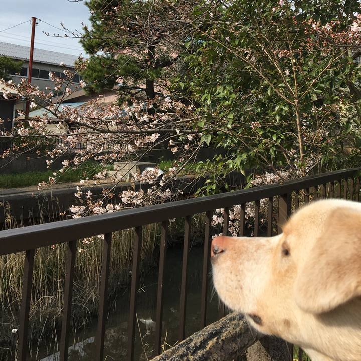 Fd2d00bb ac04 4cdd b378 7eb6f9e6013f