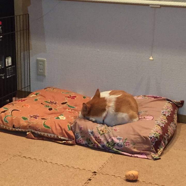 Fd2e2ca5 fef2 46fc 9dda 6f82620d9328