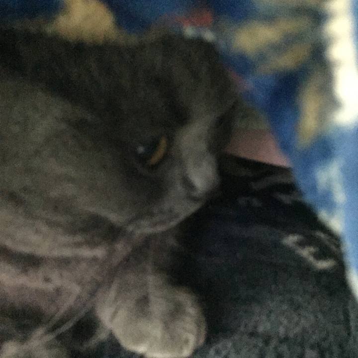 Fd2f07ea 7e6f 4497 b7ad 442f6c64ec9f