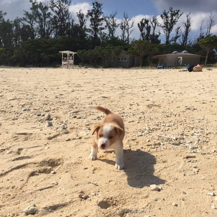 Fd2f9fa5 d66b 4d46 aadb 8cee42785280