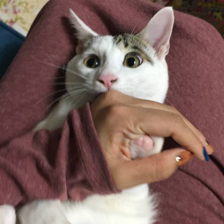 Fd2ffa92 29e2 4df3 bbd9 f36398223518