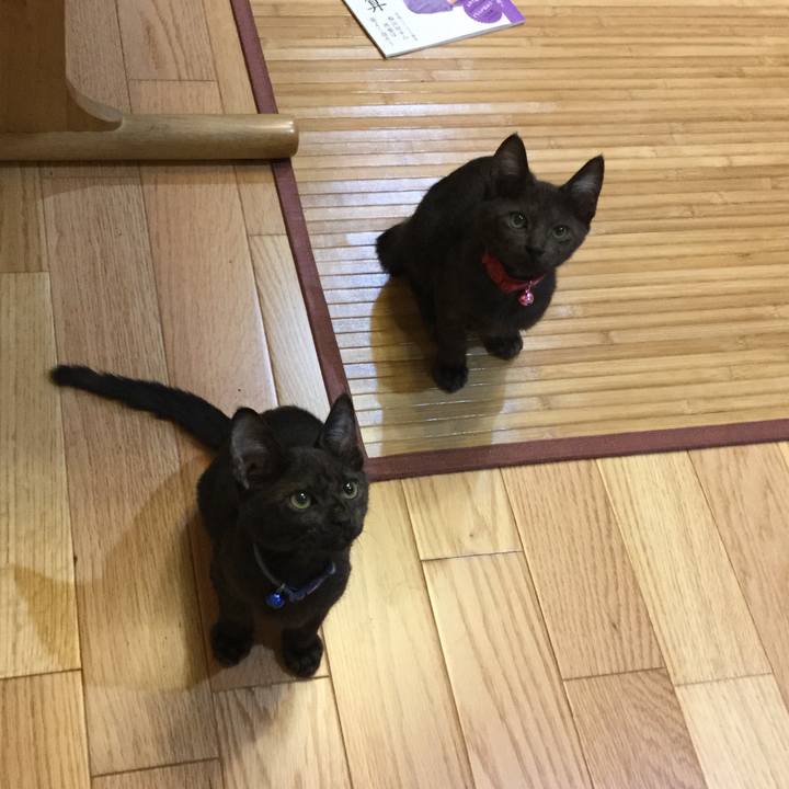 Fd300d7d 13de 47a7 af11 7dd0d7b1e369