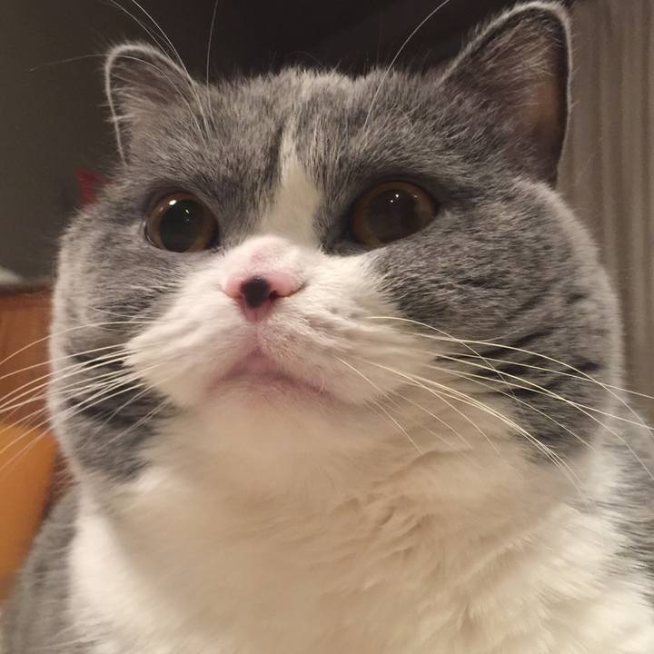 Fd30d670 5060 4b7f a72b 390aeef2f690