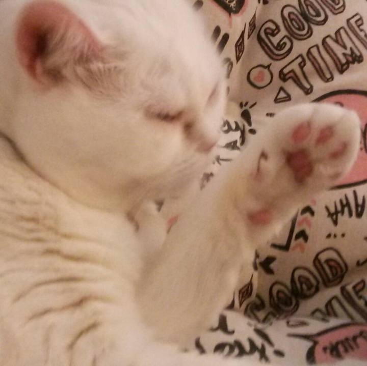 Fd312c28 1a6c 41d6 be82 02c3ffa2ae66