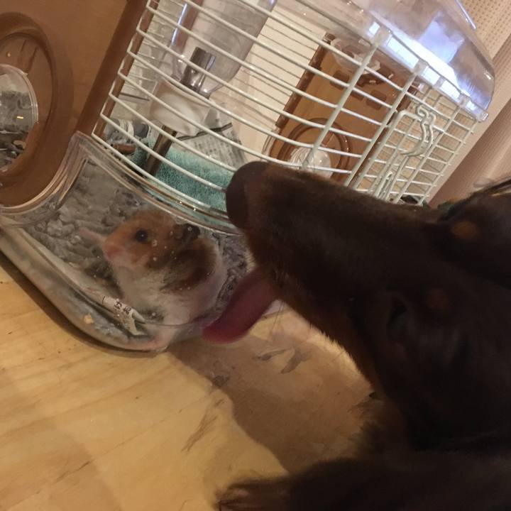 Fd324302 71b1 459c a0e2 93598854be9d