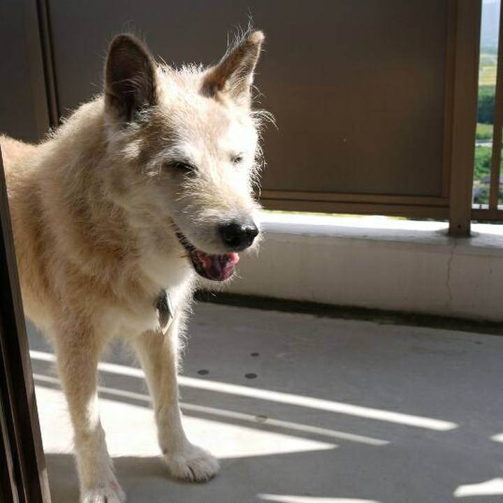 Fd327e65 96ca 4ff0 9dec 2b575f856166