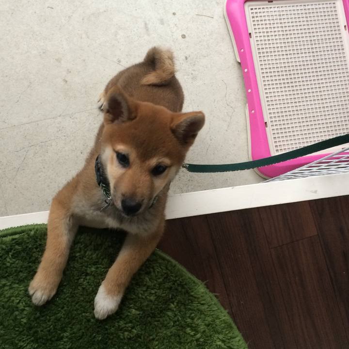 Fd330599 e2b1 4c0c be41 1f2e07045dd7