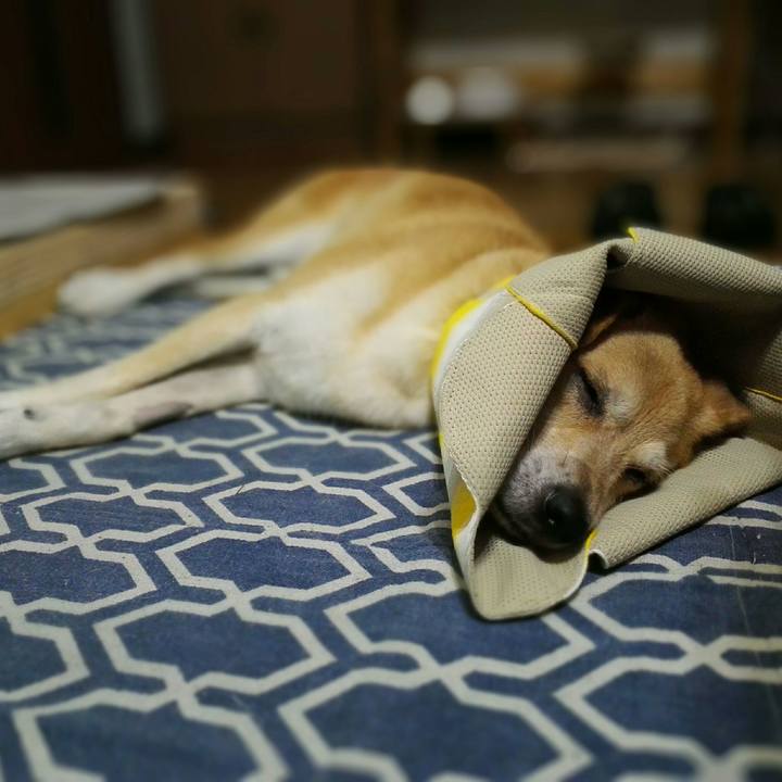 Fd330ce7 84ab 4bcf aecf f72c4664ce8a