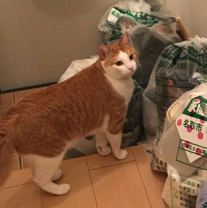 Fd33a655 55e7 4bd1 a631 12b12fe3373a