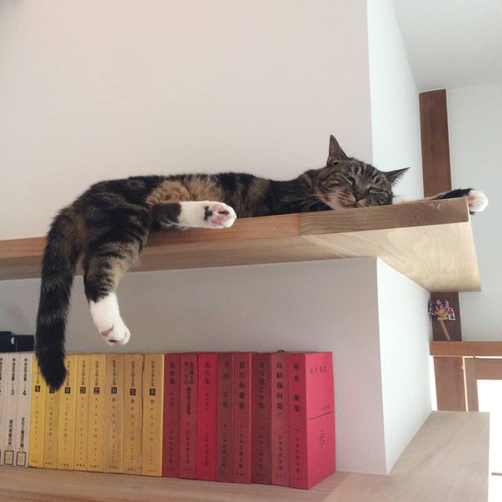 Fd33c824 1720 449c 85fa b6488c5fa25e