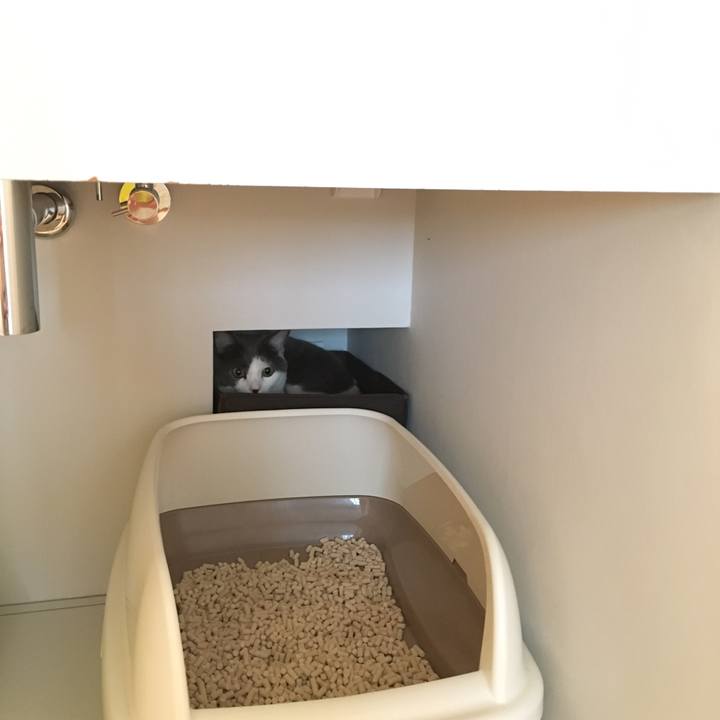 Fd34038d 8a0b 4d89 87b8 0e7ce2b7a2ab