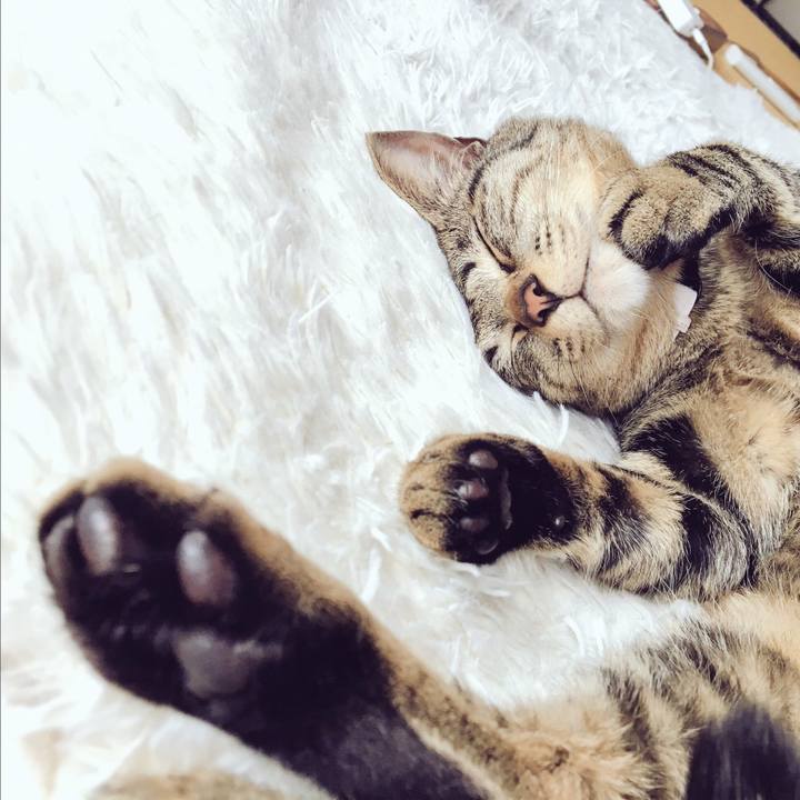 Fd34ab01 8eee 4518 9818 2d8a45054bb9