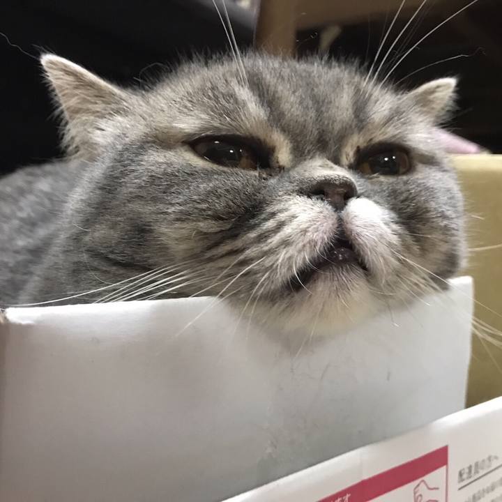 Fd34b854 862b 4d4b a208 68d9c02d03c3