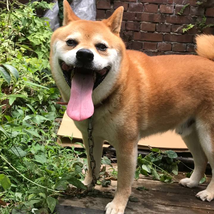 Fd34c3be 5dce 4a3d 9f81 67192705ca90