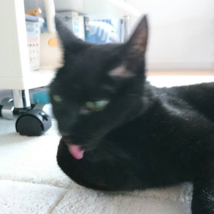 Fd34ca4f 6f0b 4bb6 8e33 811fb6ce4065