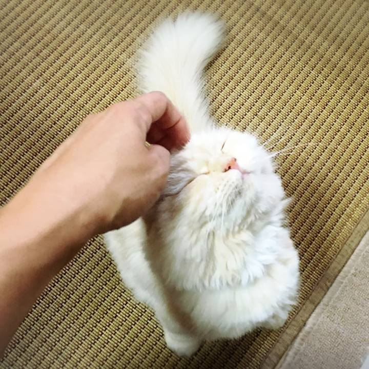 Fd3523c0 8950 450d b174 0378cef07506