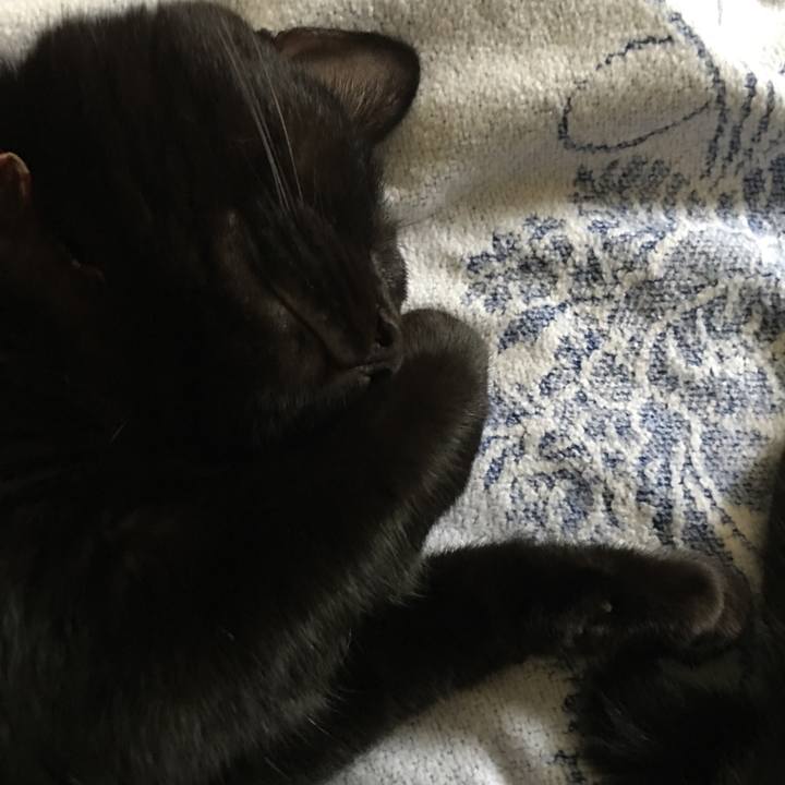 Fd35ab89 da27 4677 8eb8 7363bcc6e1b1