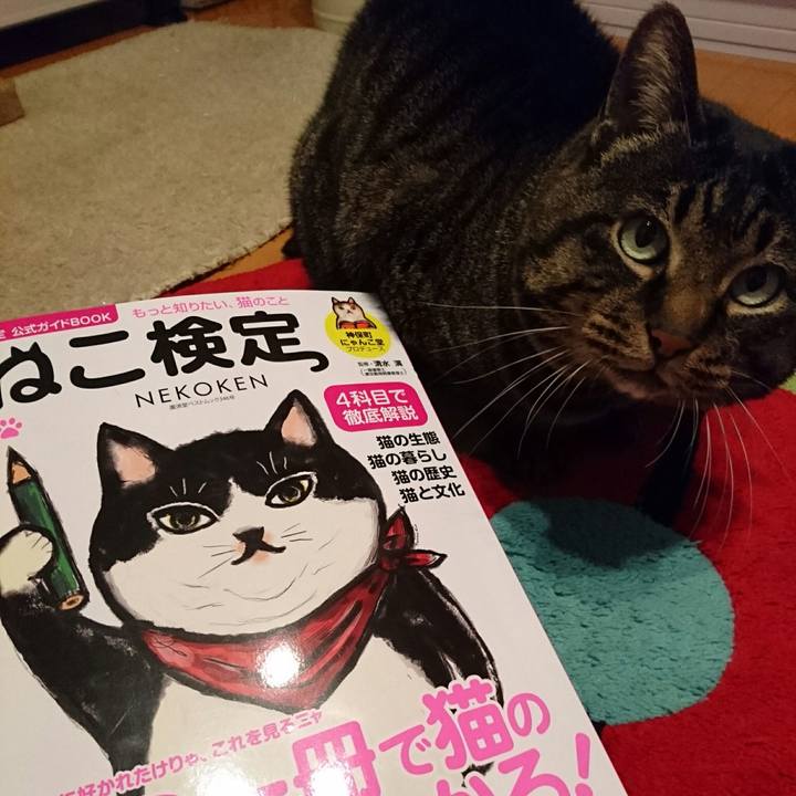 Fd360a7d 9ec5 4de0 92dc 899e2a10256b