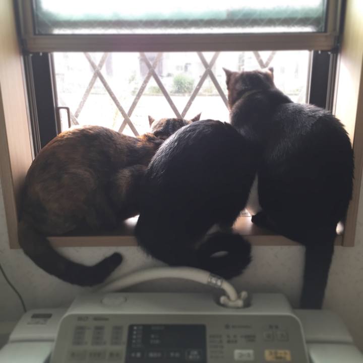 Fd37095d a5d1 4eb5 bc7a 3c2921c26b38