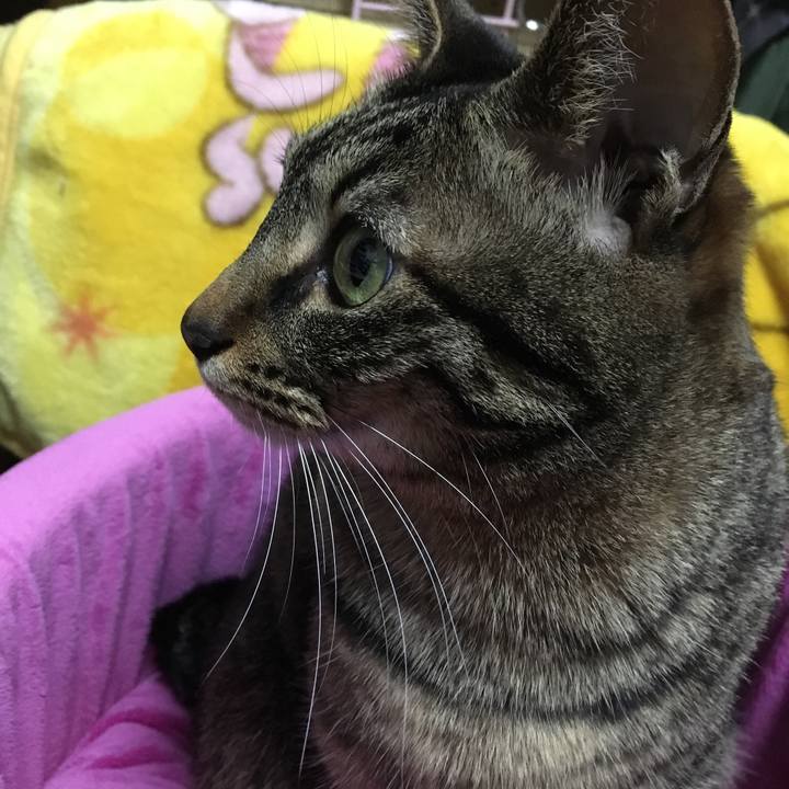 Fd37f8c0 28c2 491b 983d 11d199370d27