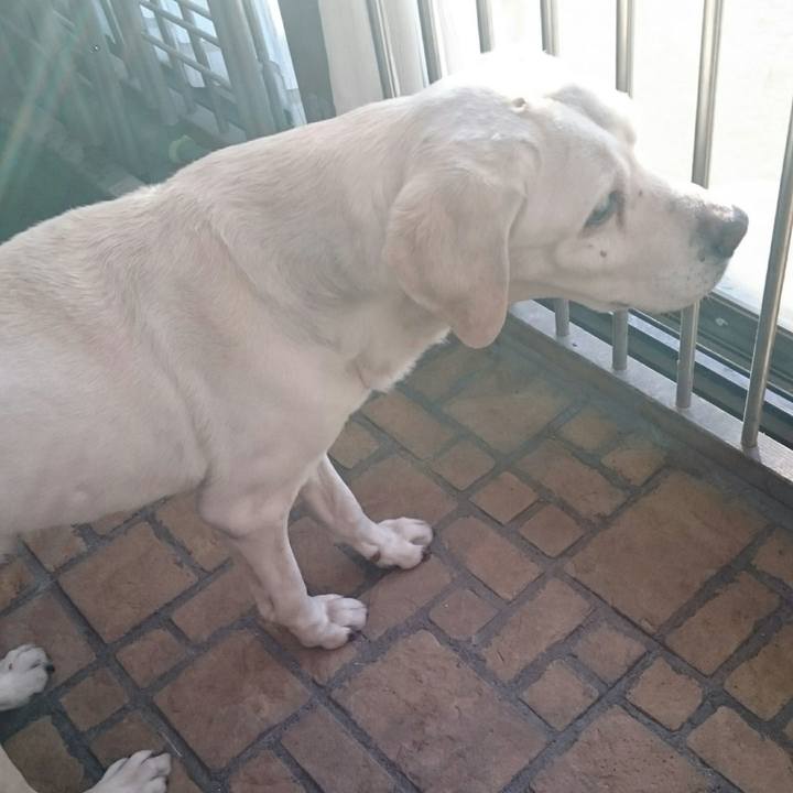 Fd3896dd 8ba6 4ab4 9586 32f3257c796e