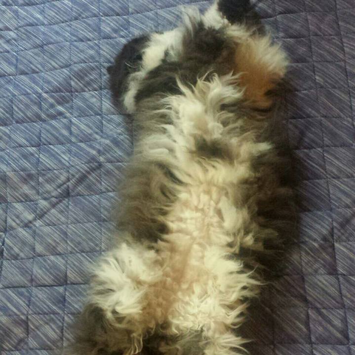 Fd3896ee b0d1 4a32 aa7e bb65f1aaf77a