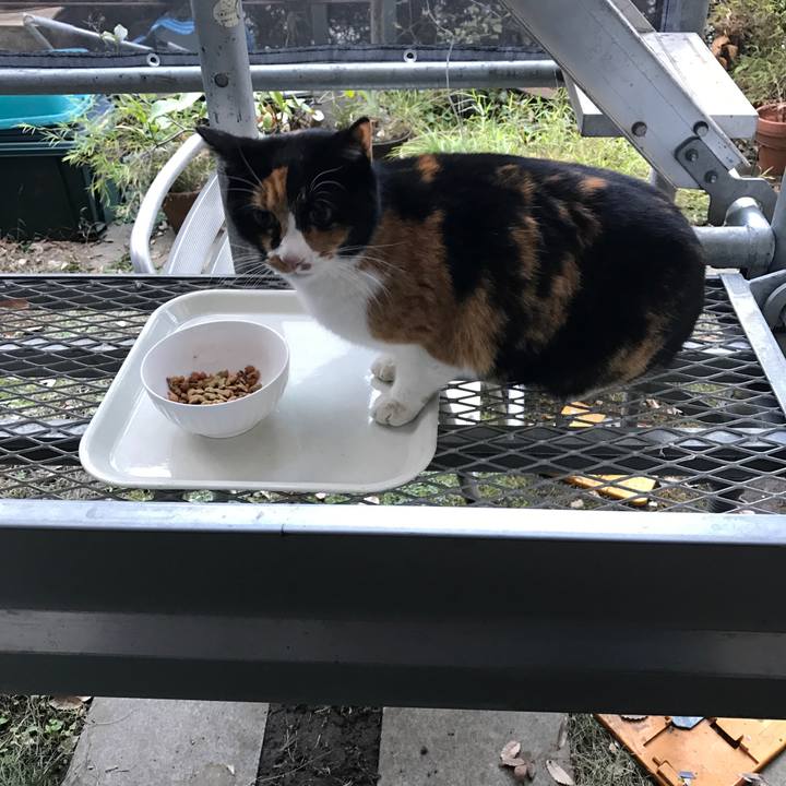 Fd390af8 a619 4067 9101 58dc3ebed1a8