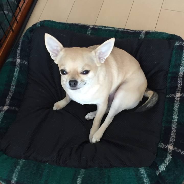 Fd391b9e 0ec3 43fb b6bd 26644ed6ab78