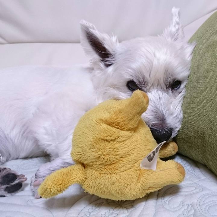 Fd3948fb 8f39 482d a11a dfad5f5df749