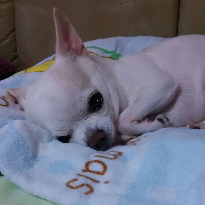 Fd399f89 8397 4e15 926a 01af8884bc5d