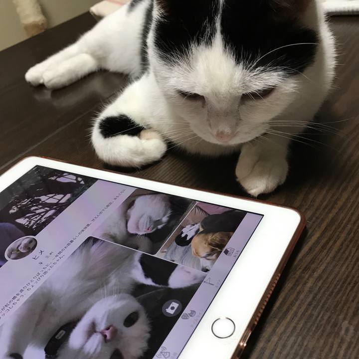 Fd39e81e 0ede 4151 8839 c153f10f9e39