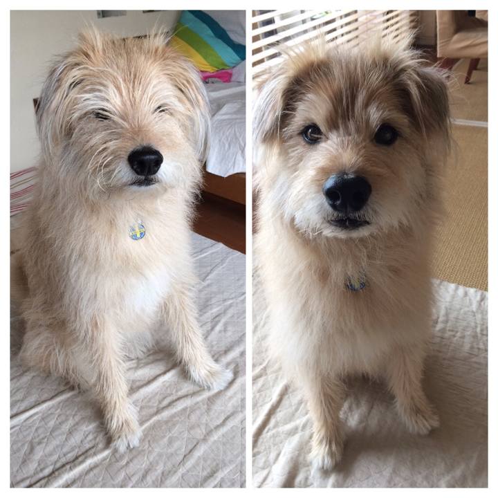 Fd39edf0 9efe 41d2 b1e9 d74898885473