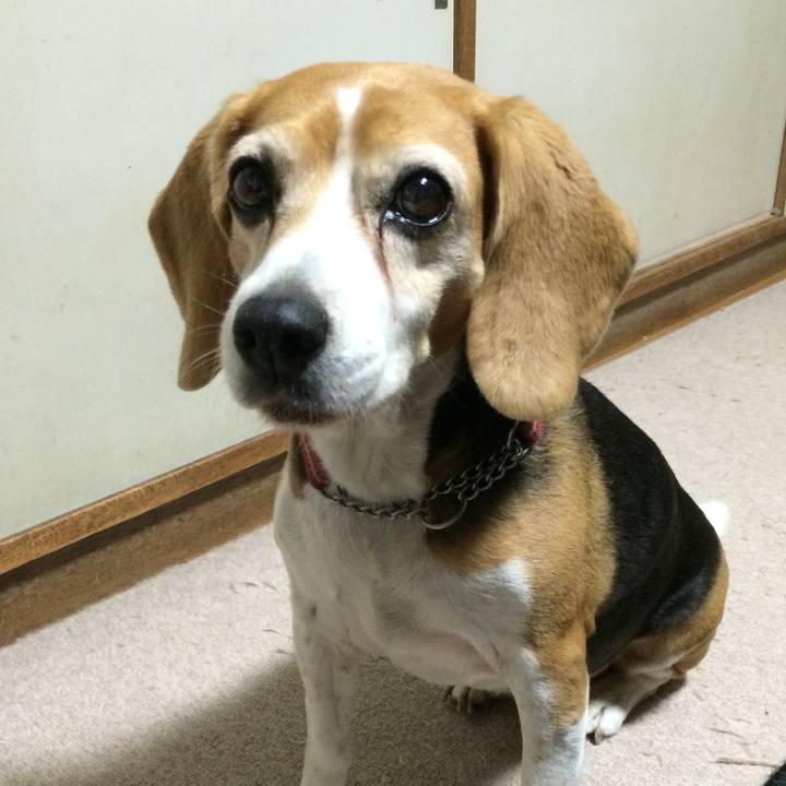 Fd3a55df 4475 4934 86de 08c5d5b54dd6