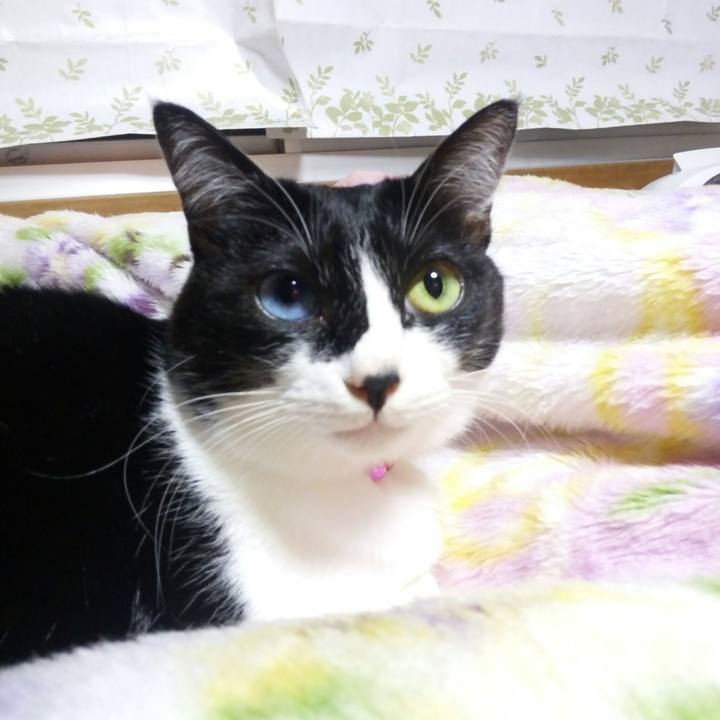 Fd3a9e58 b236 4ba6 a8ea 8ef1bfa89dd2