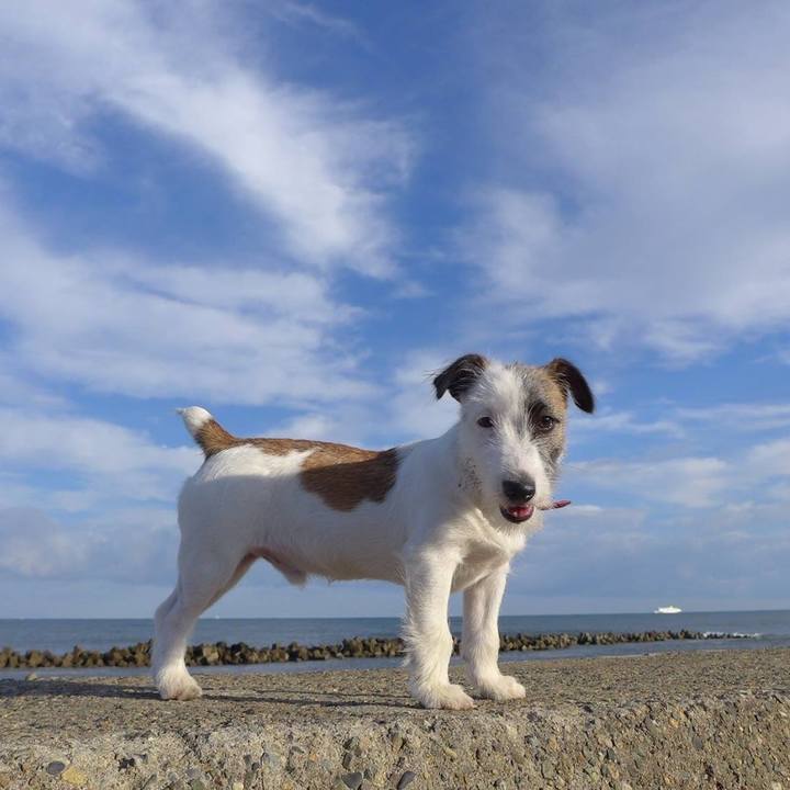 Fd3befce 8c92 48e2 a7c4 8acb86db7b8b