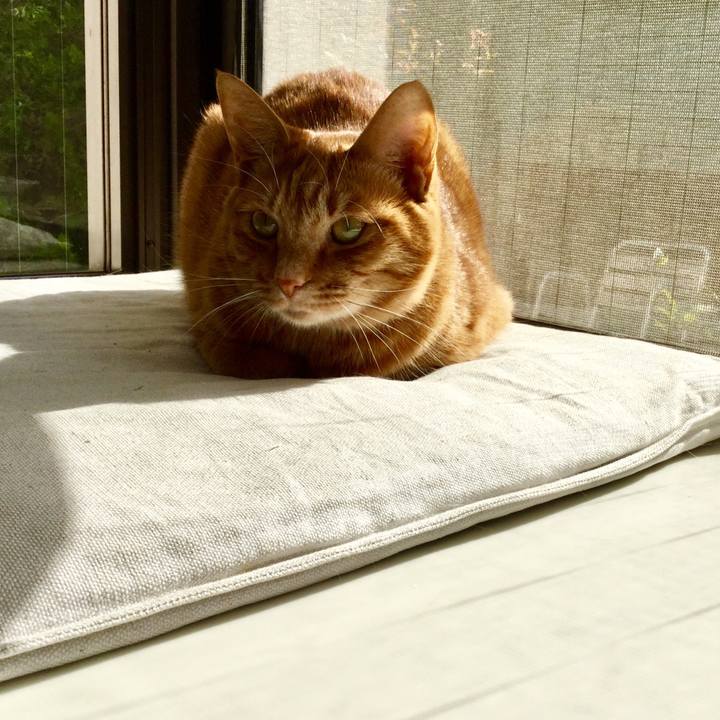 Fd3cda9b aa7d 4acb 8e4a 2f07dddddf61