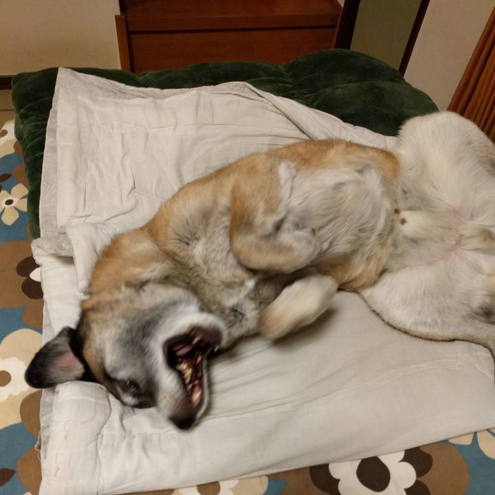 Fd3cfd5d 5db7 4ca2 a618 9e96785995b9