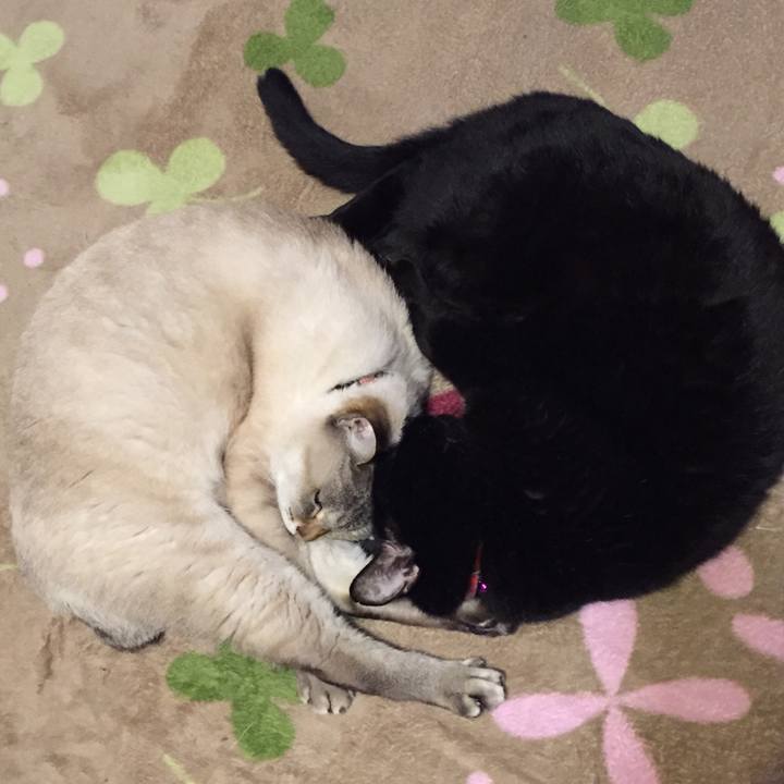 Fd3d42fa 47e3 4750 b17a bba099214175