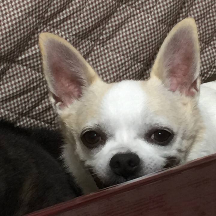 Fd3d6159 e1ed 4c95 9e52 63dfbde36249