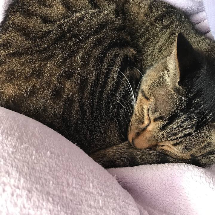 Fd3db834 68f6 4742 8c6e 0039f9de1d83