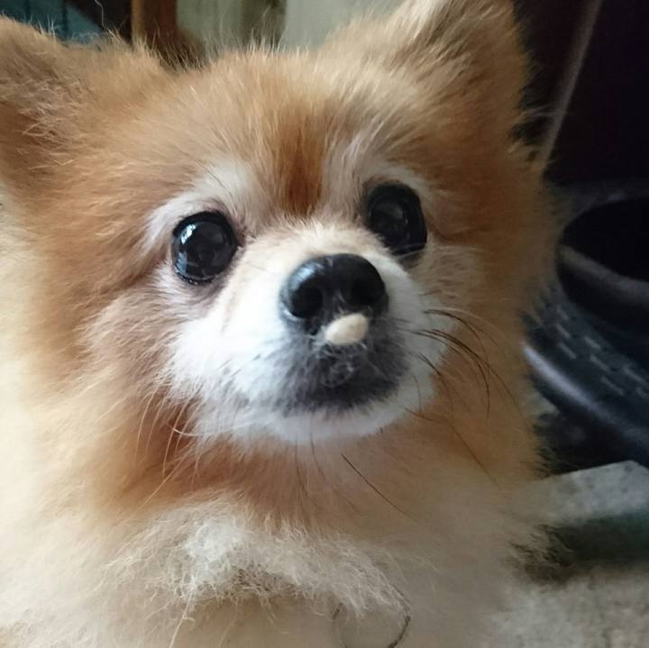 Fd3de161 47b6 4d6d 8446 f54d85ea9d0f