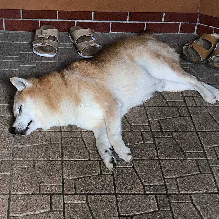 Fd3e0e3a 1128 4e5d 8e76 0bfaac1b8ac1