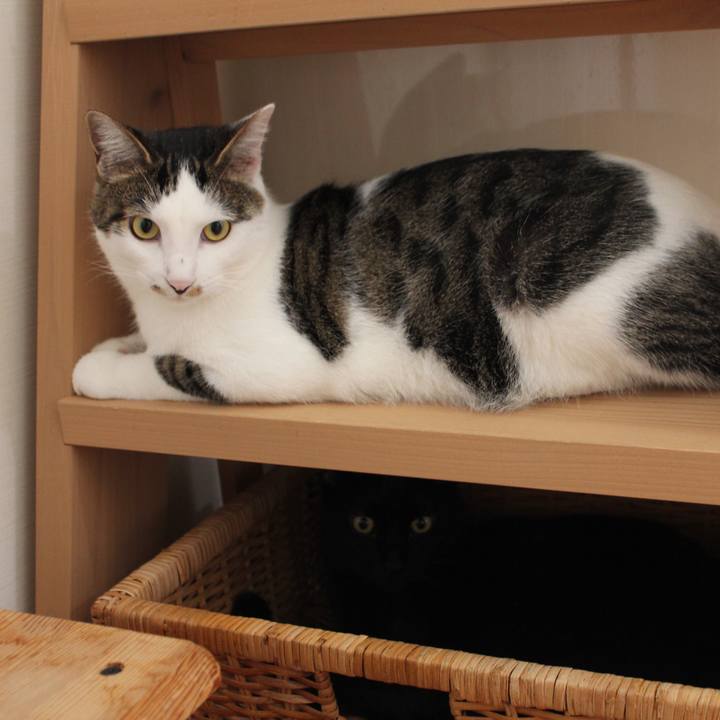 Fd3e41a8 bba3 4bb7 81de f359779c8e3a