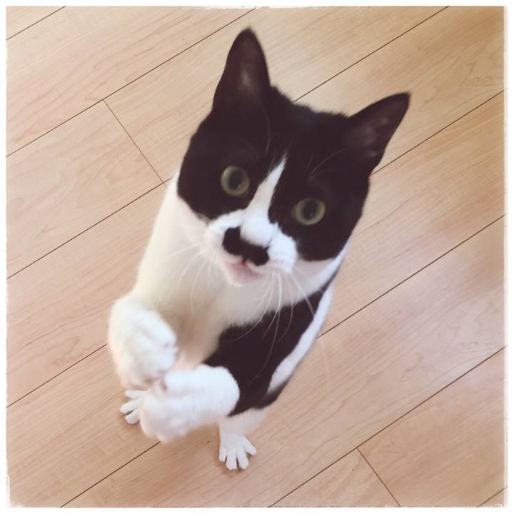 Fd3e8cce 1440 44c7 9a8e b1de6d99be06