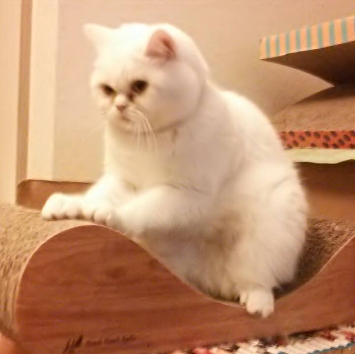 Fd3f52d4 945d 4a25 af0d d3ed3f9801ae