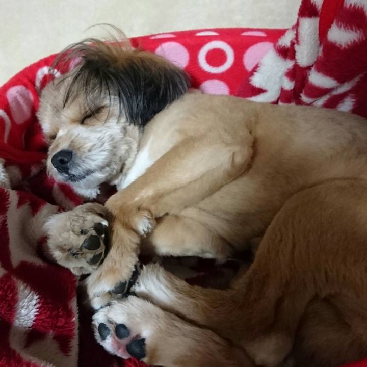 Fd3f7550 cf9e 4d7b a721 eb7400c175df