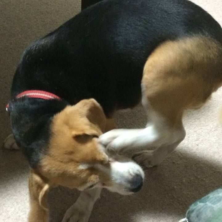 Fd3fa776 be76 4e02 b2fe e7e19d4f5a5b