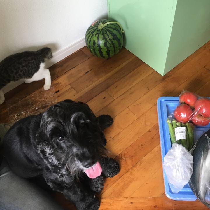 Fd3fd73f a429 49b9 bfca acbfaa5f86d2